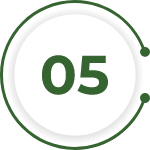 Number 5