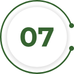 Number 7